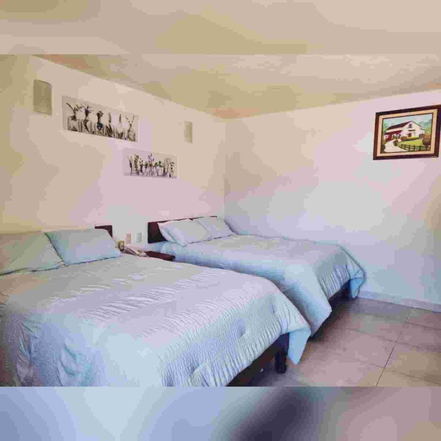 Hotel Jardines Del Carmen San Cristóbal de Las Casas Dış mekan fotoğraf